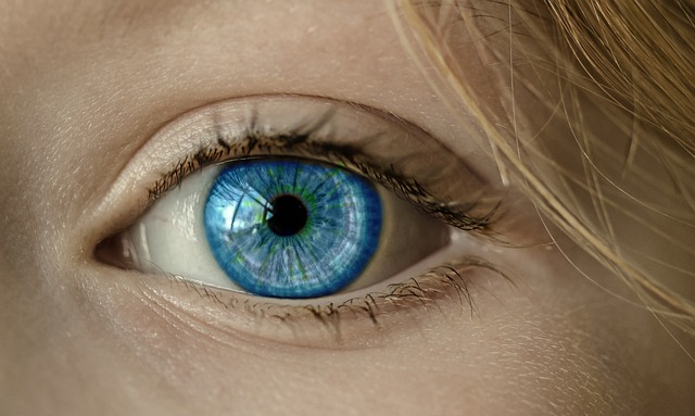 Právě si prohlížíte Zrak a Oči Anatomie: Prohlédněte Si Strukturu Očí