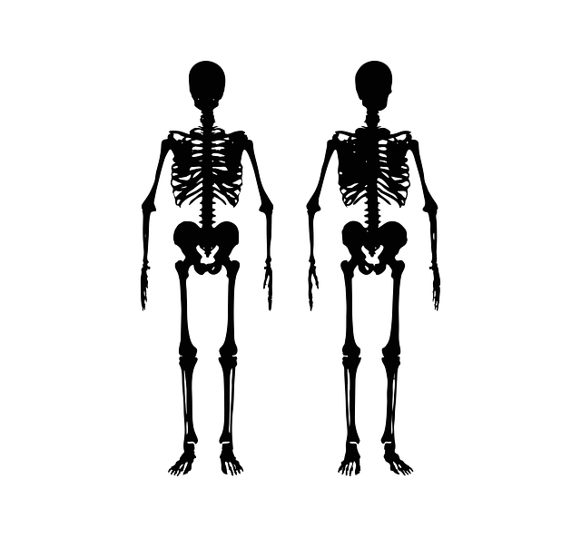 - Jak správně posilovat kosti: Doporučení pro posílení kosterního systému