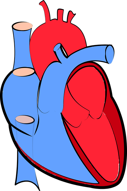 2. Klíčové faktory pro zdravé srdce: Návody a doporučení