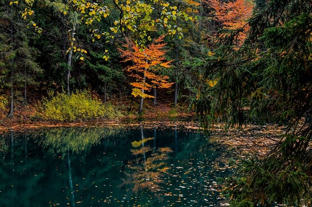 - Kloubní zranění: Jak se vyvarovat poranění kloubů a jak je léčit?