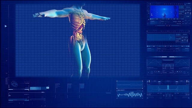 1. Struktura a funkce dýchacího systému: Prozkoumejte vnitřní anatomii plic