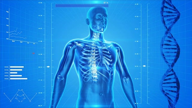 1. Funkce kostí a svalů: Od základů ke komplexnímu chápání těla