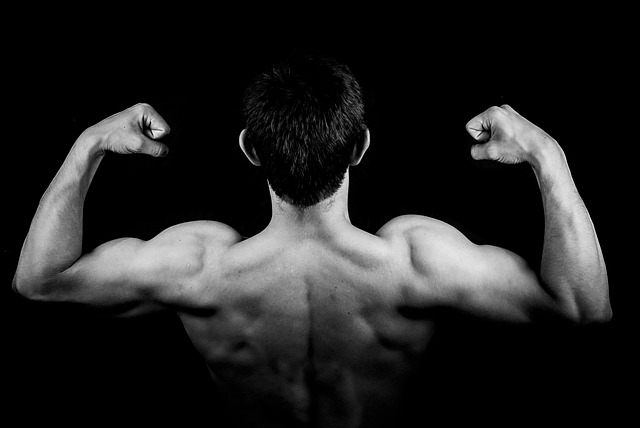 2. Vztah mezi svaly a kostmi: Podpora silného a zdravého kosterního systému