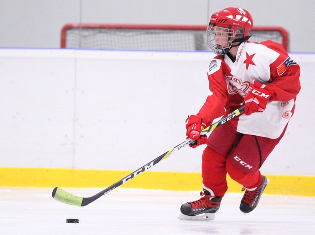 Přečtete si více ze článku Hokejový Trénink Dětí: Jak Změnit Vašeho Malého Hráče v Hokejovou Hvězdu