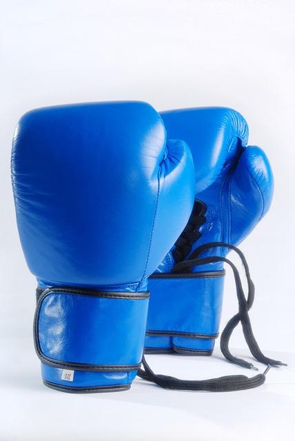 Právě si prohlížíte Tréninkové Boxerské Rukavice: Pro Perfektní Úder