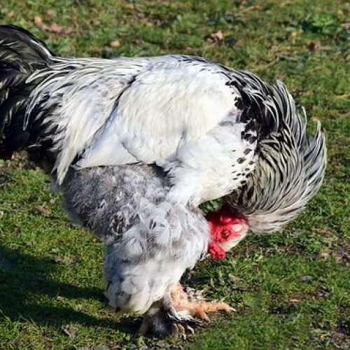 Cviky na Osteoporózu: Zpevnění Kostí a Svalů