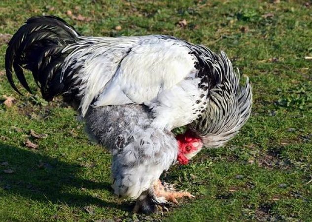 Cviky na Osteoporózu: Zpevnění Kostí a Svalů