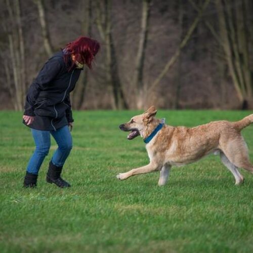 Zmrzlé Rameno Cviky: Vráťte Si Pohyblivost