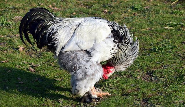 2. Odkryjte tajemství silného hrudníku: Efektivní cviky pro rychlé výsledky