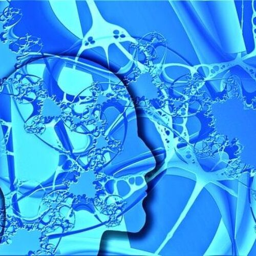 Doporučená denní dávka krmiva pro psa: Jak zajistit, že váš pes dostává všechny nutrienty?