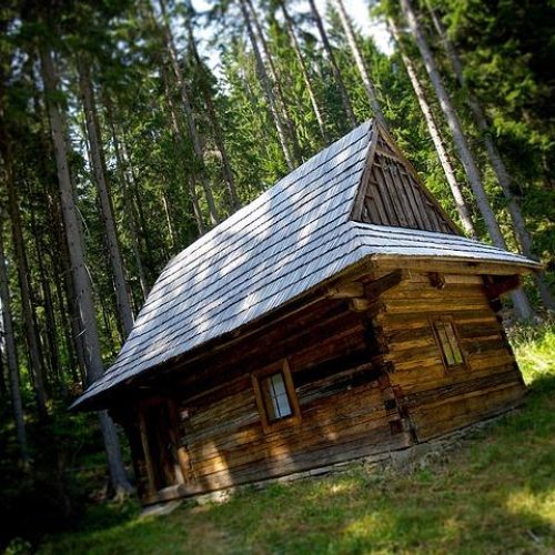 Doporučená denní dávka koliba WPC 80: Jak může zlepšit vaše svaly a regeneraci?