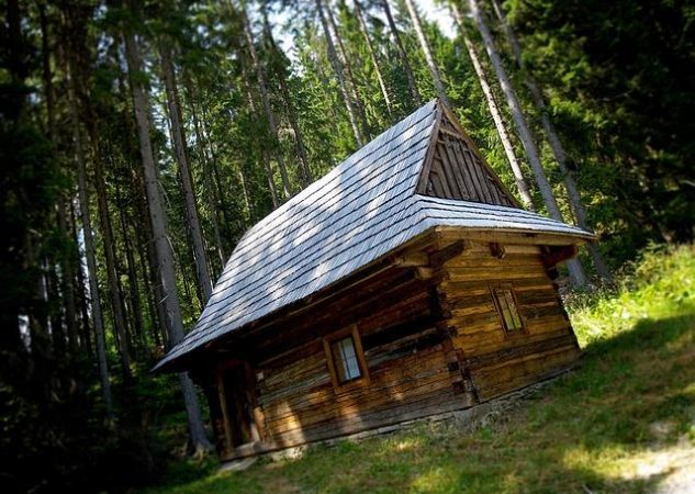 Doporučená denní dávka koliba WPC 80: Jak může zlepšit vaše svaly a regeneraci?