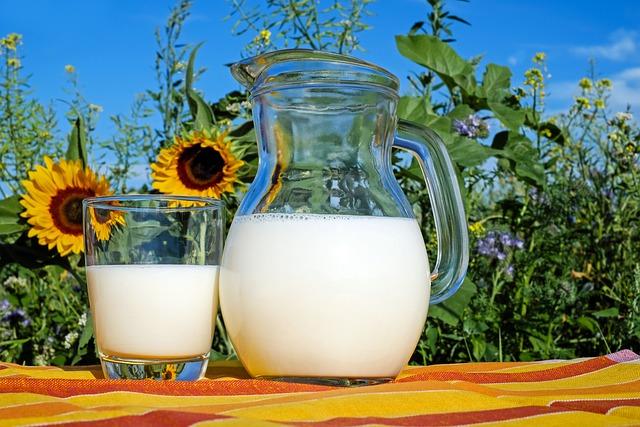 - Význam ⁤mléka pro zdraví kostí