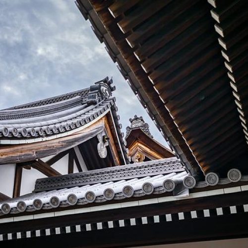 Doporučená denní dávka bilkovin: Jak zajistit správnou výživu?