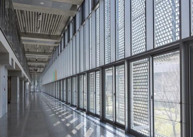 Doporučená denní dávka ACC: Jaká je a jak pomáhá při kašli?