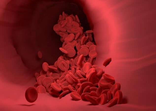 Rutin a cévy: Jaká je doporučená denní dávka pro silné cévy?